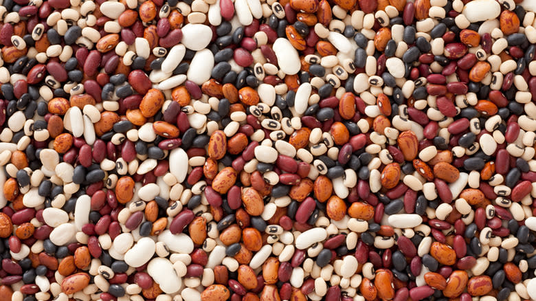 Varieties of dried beans