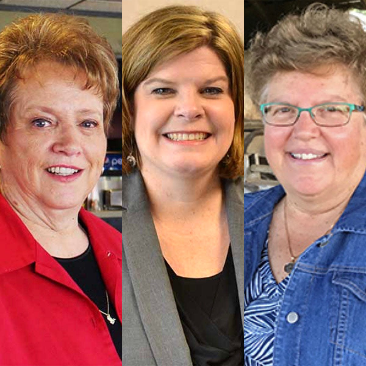 Mary Williams, Kelly Tourdot and Becky Levzow, former members of the  Wisconsin Technical College System Board, have stepped down, nearly two years after their terms ended.