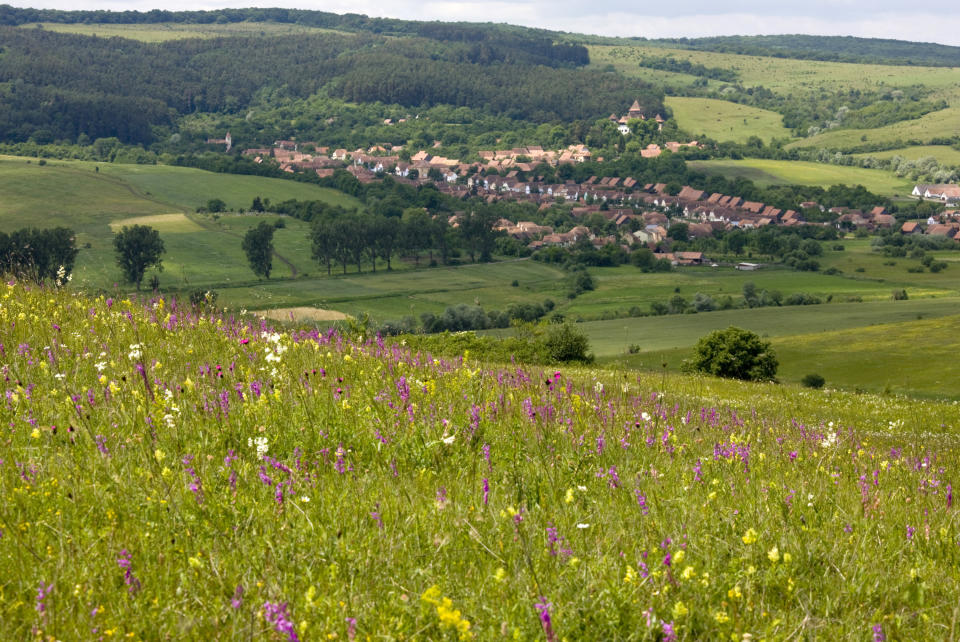 This undated image supplied by Fundatia ADEPT Transilvania shows meadows and farmland in the Saxon village of Viscri in the Transylvania region of Romania. The area is drawing tourists, including Prince Charles, with quiet scenes of nature and rural life, including rhubarb and elderberry farms. (AP Photo/Fundatia ADEPT Transilvania)