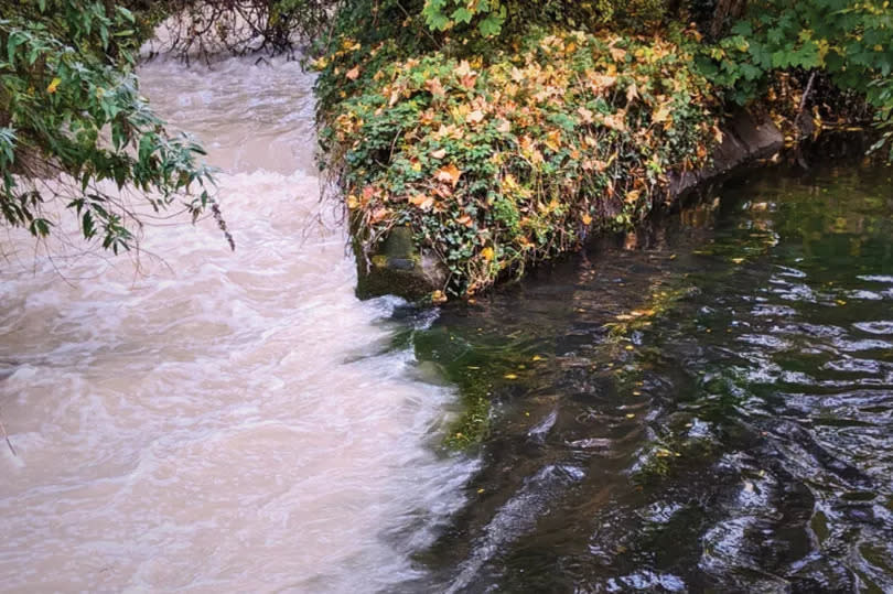 Polluted water meeting a clean chalk stream