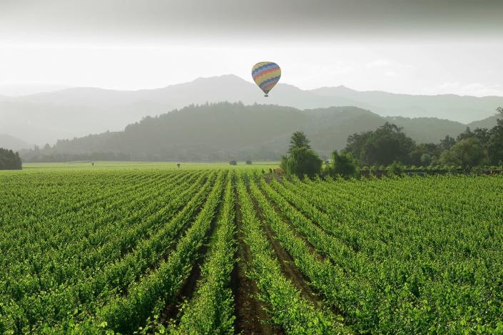 Hot air balloon floats over Napa Valley vineyard