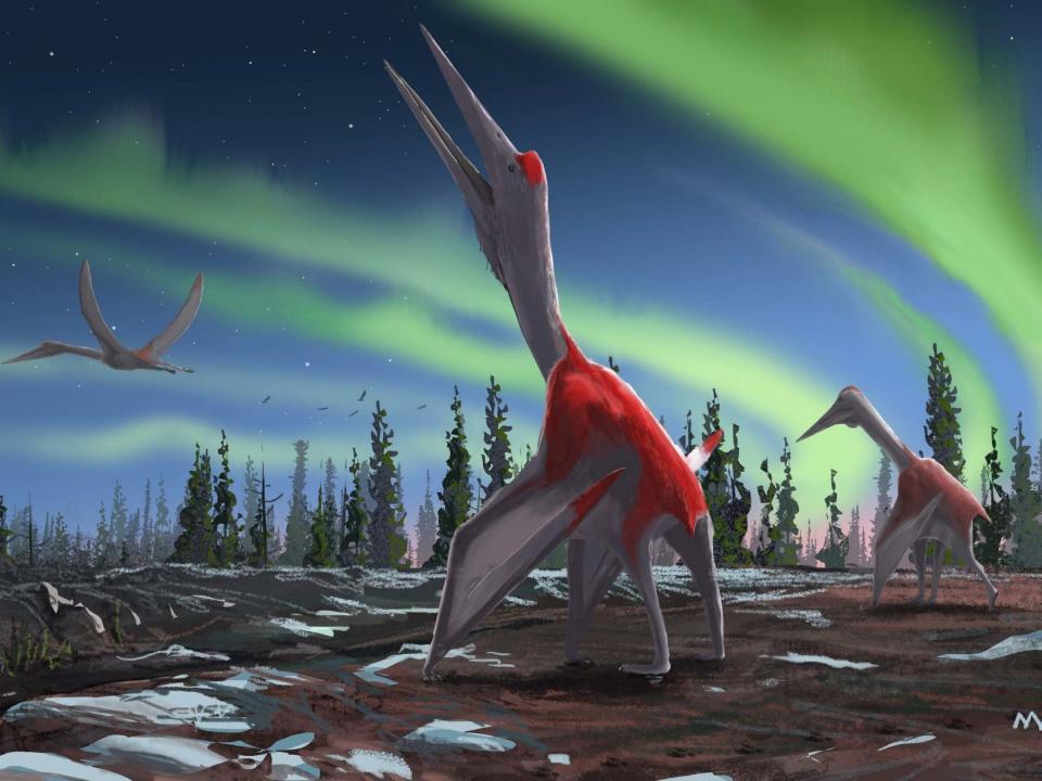 An artist's impression of the Cyrodrakon boreas, a newly discovered species: David Maas/AFP/Getty Images