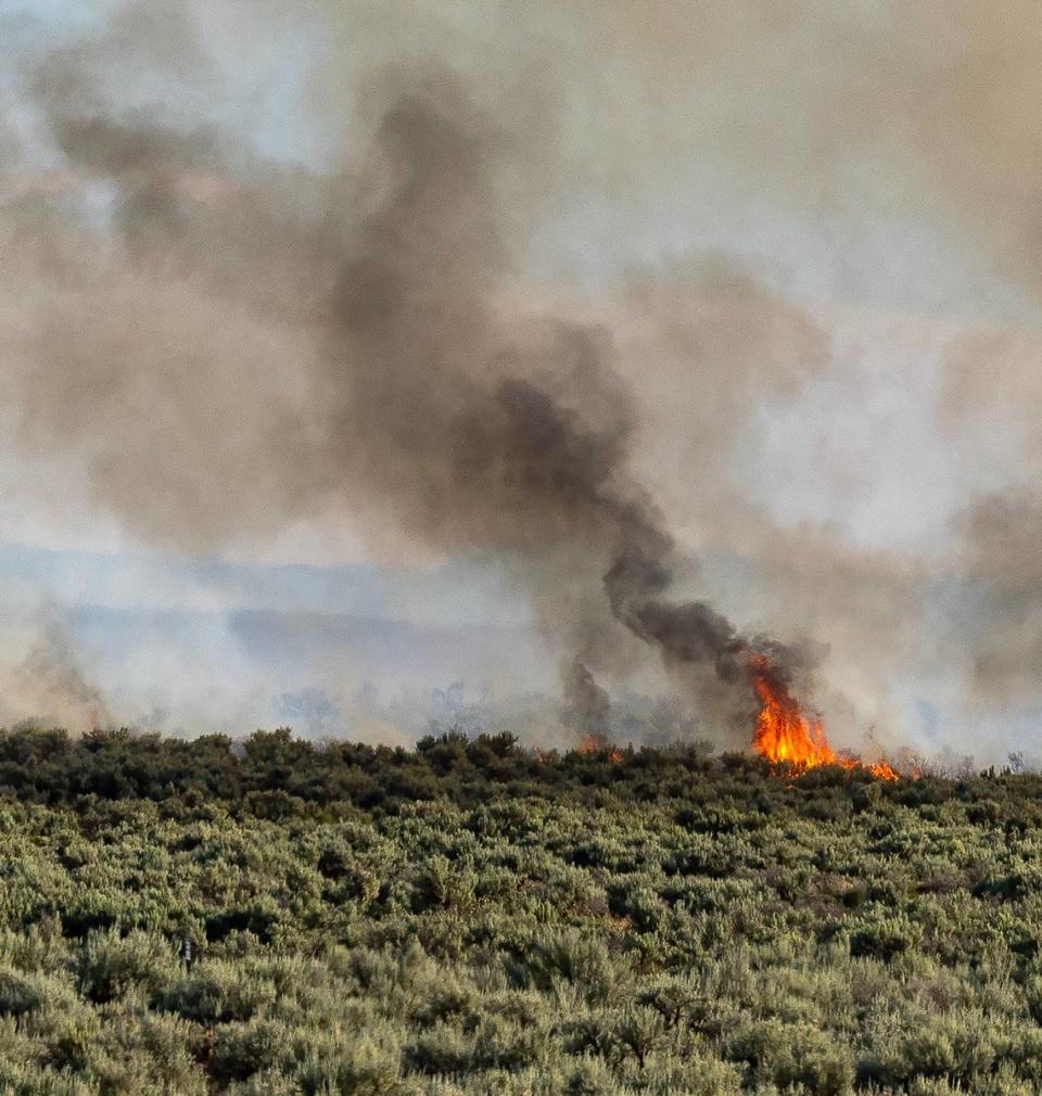 A vegetation fire retardant burns east of Blacks Creek Road south of Interstate 84, Wednesday, June 21, 2023.