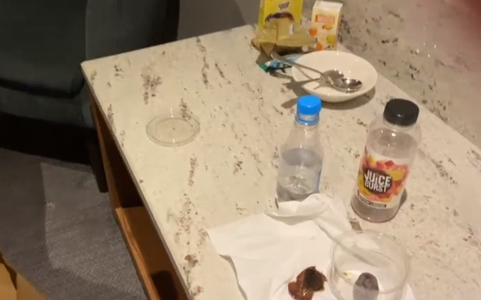 <p>One hotel resident, who is observing Ramadan, was provided with dates to break his fast in the evening and discovered an insect in one of them</p> (Supplied)