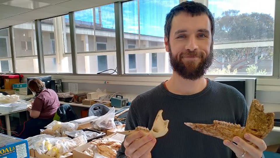 Lead study author Isaac Kerr is pictured with kangaroo fossil. - Flinders University