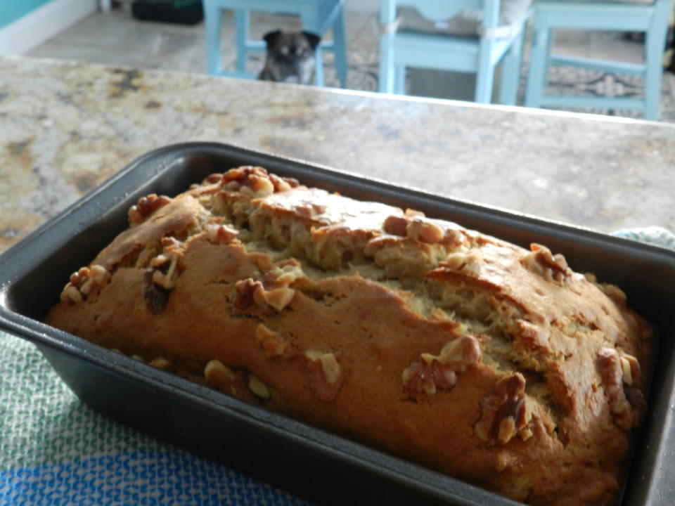 My dog, Archer, was obsessed with the banana bread action going on in our kitchen. (Terri Peters)