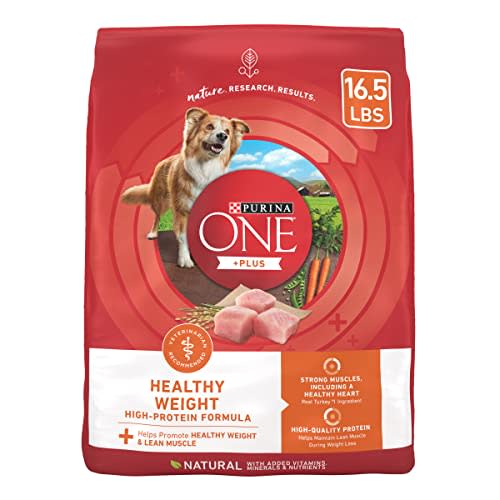 Purina ONE + Plus Adult Dry Dog Food (Amazon / Amazon)