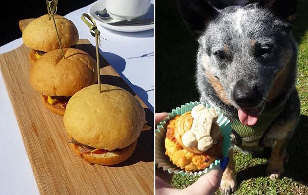 Lunch was delicious and even Benny got a treat. Photo: Be