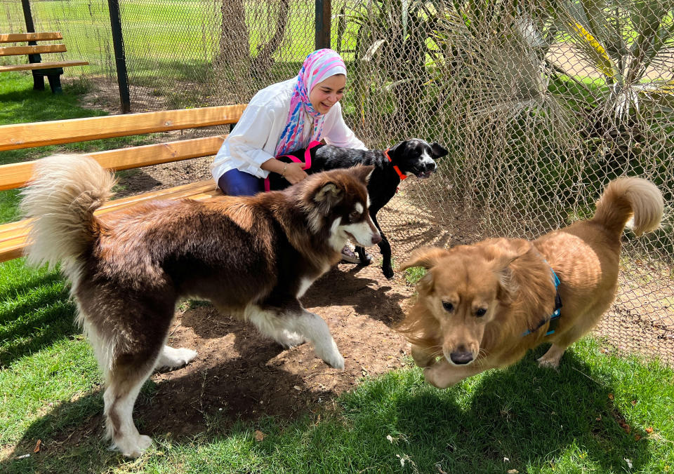 埃及2023年5月通過新法，禁止民眾飼養包括鬥牛犬、羅威納犬、哈士奇和杜賓犬等16種狗狗。圖片來源：REUTERS/Ahmed Fahmy