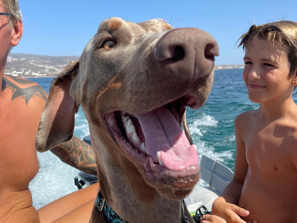 A dog on a boat with kids 