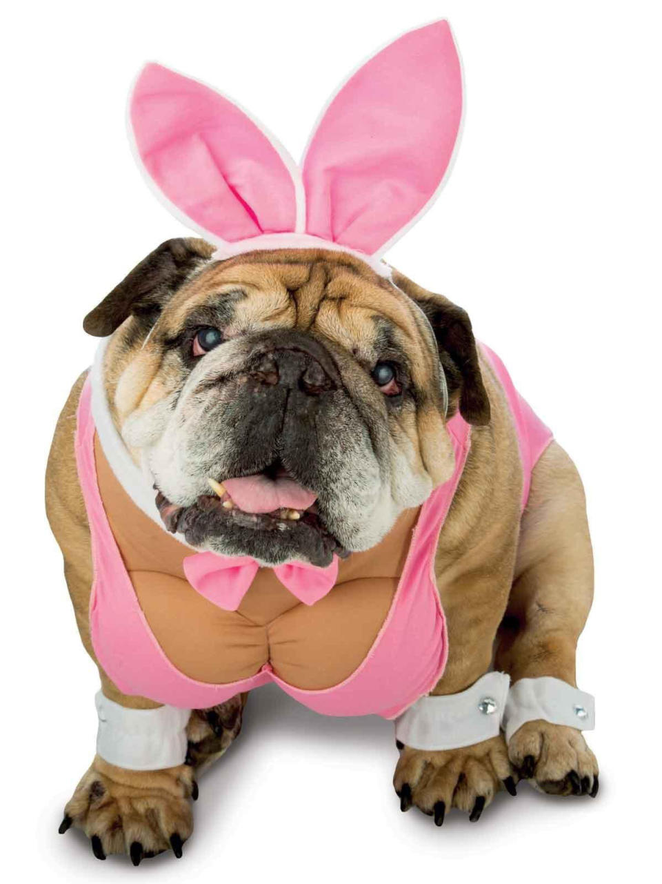 Hugh Hefner's recent death may inspire a whole rash of Halloween Playboy bunnies, but none of them hold a carrot to having <a href="https://www.costumesupercenter.com/products/zelda-hunny-bunny-pet-costume" target="_blank">a canine be your playmate.</a> It's the most cuddly form of patriarchal sexism we've seen this year.&nbsp;