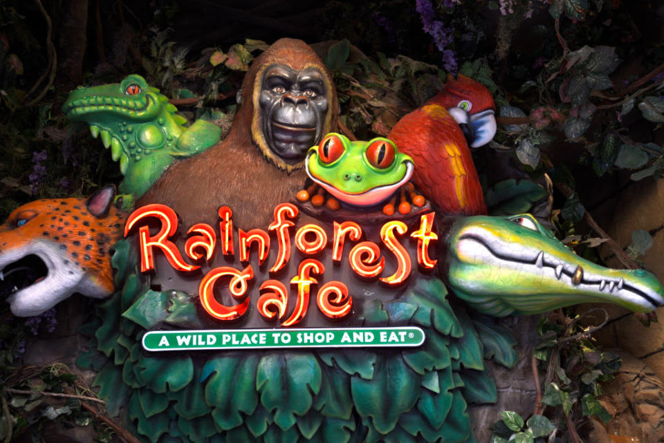 rainforest cafe