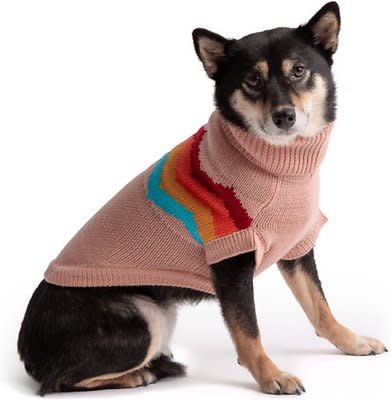 DogsMart lv All Weather Dog Clothes for Small Dogs Dress