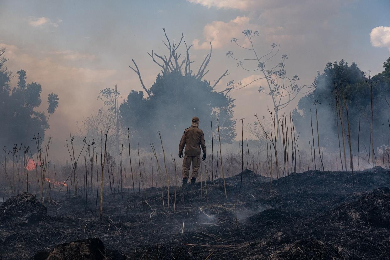 A firefighter combats a fire in the Amazon basin in the municipality Sorriso, Brazil: AFP