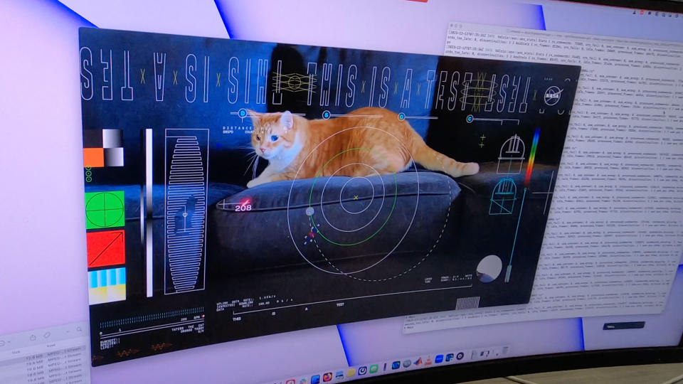 Eine Katze jagt in einem Video, das auf einem Computerbildschirm übertragen wird, einen roten Punkt auf einem Sofa