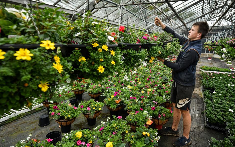 Staff at Gouldings Garden Centre in Carluke prepare for reopening to the public, after being closed for nine weeks -  Getty Images Europe