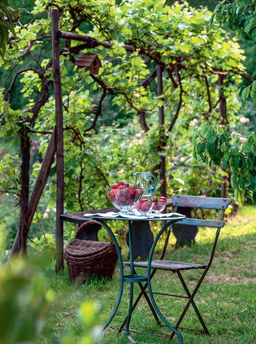 Photo credit: Glorious Gardens, by Country Living| Alamy Stock Photo