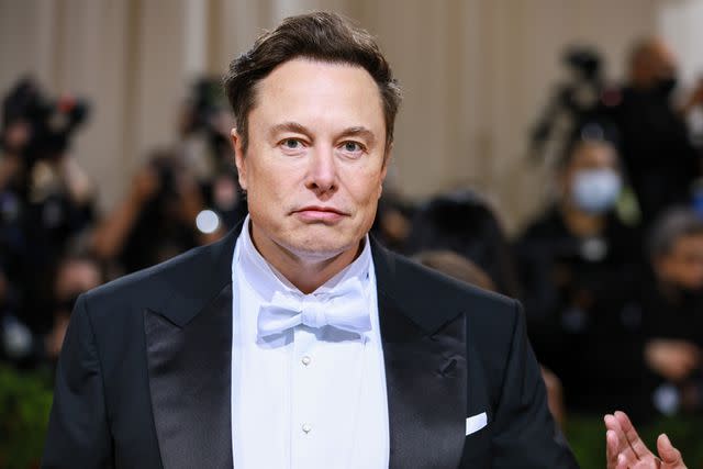 <p>Theo Wargo/WireImage</p> Tesla CEO Elon Musk, who also owns X (formerly Twitter)