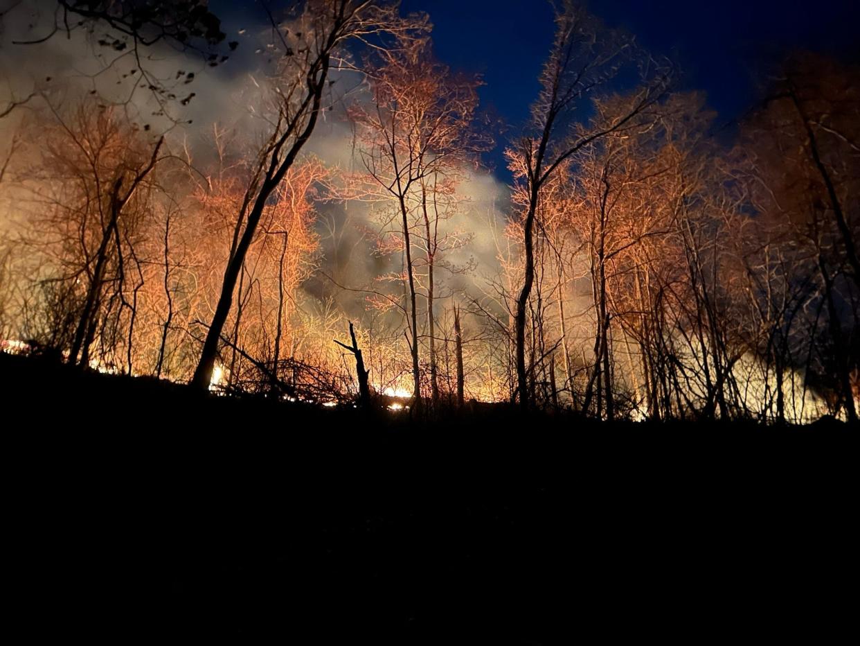 The Shenandoah National Park closed Skyline Drive from Thornton Gap to Mathews Arm trails because of the Rocky Branch wildfire. The fire started Wednesday, March 20. The cause of the fire is unknown.