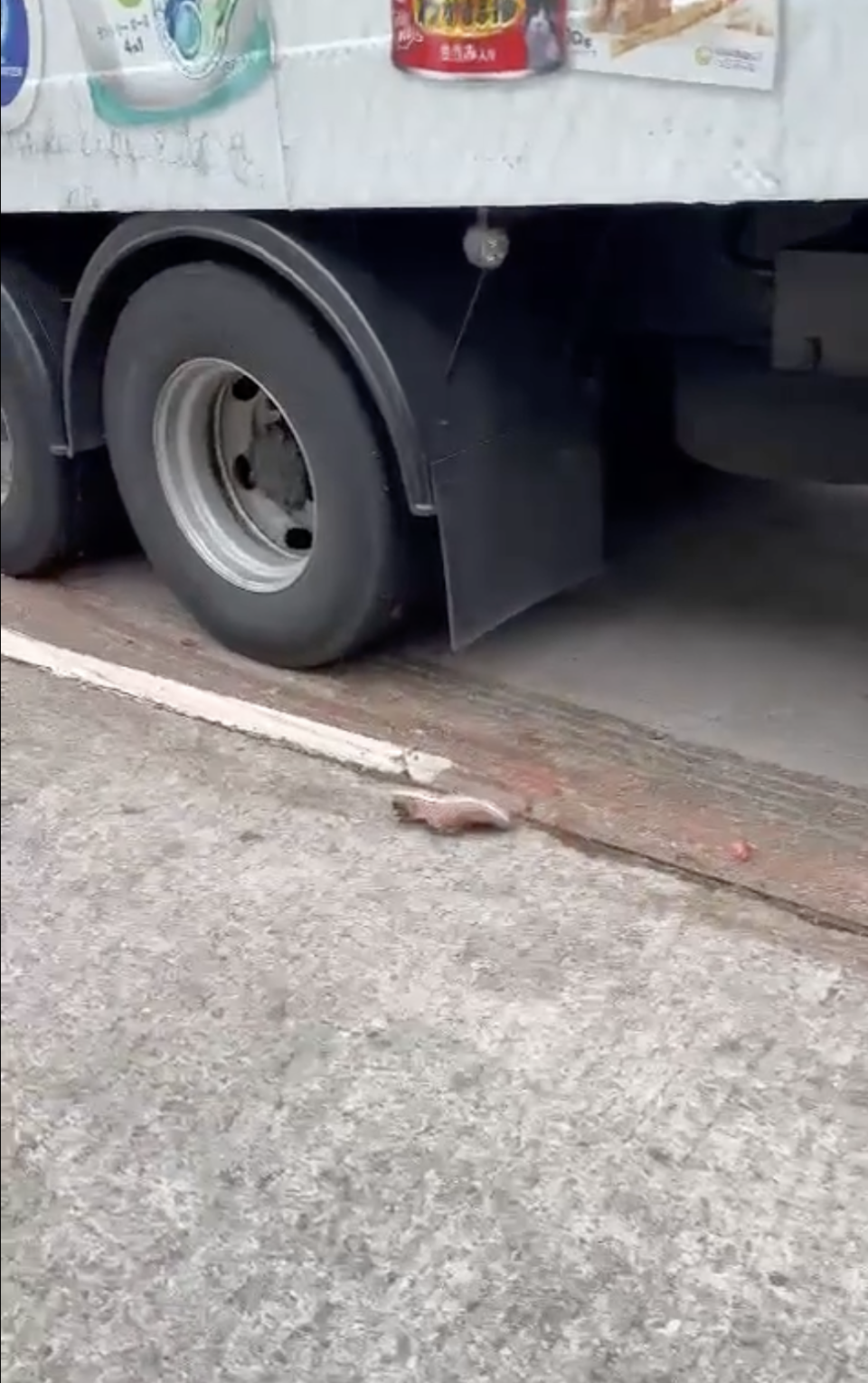 貨車車底遺下一隻鞋。 （Bosco Chu /馬路的事 (即時交通資訊台)  ）