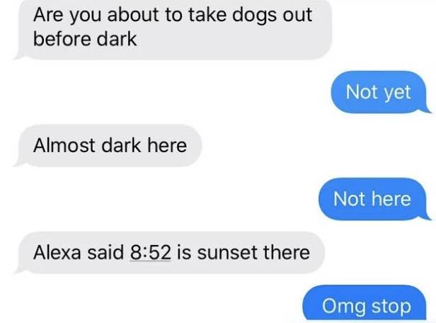 Parent asks if they're about to take the dogs out before dark, and when child says "not yet," parent says "almost dark here," child says "not here," parent says "Alexa said 8:52 is sunset there," and child says "Omg stop"