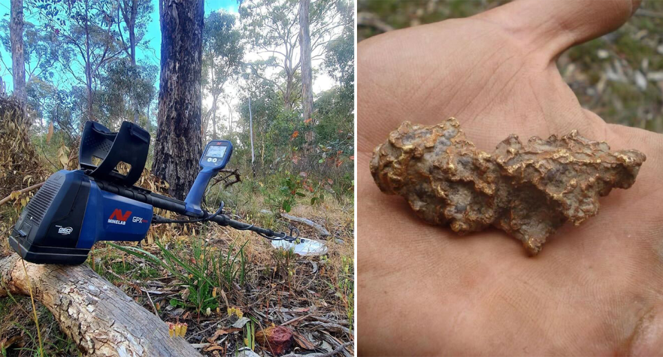 Left - a modern metal detector in the bush. Right - a smaller nugget in James's hand.
