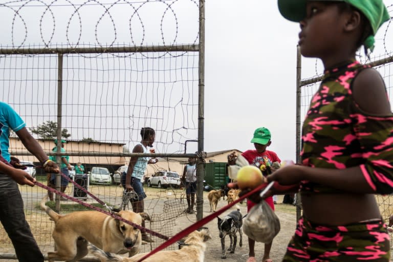 After class, children carrying snacks lead their dogs back home to face poverty, gangsterism and drugs. Social workers say parents usually commend the changes in behaviour