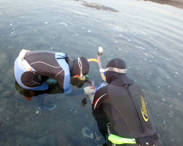 紀錄水下海洋生物