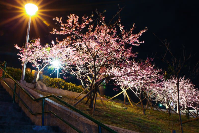 內湖區樂康里樂活公園櫻花步道（北市府）