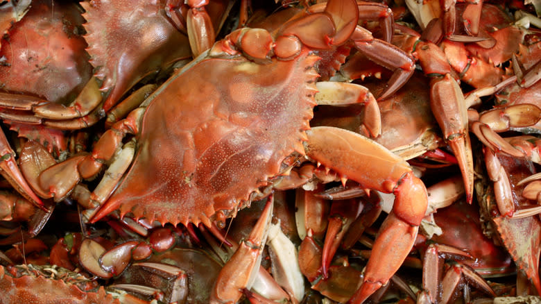 Pile of fresh crab