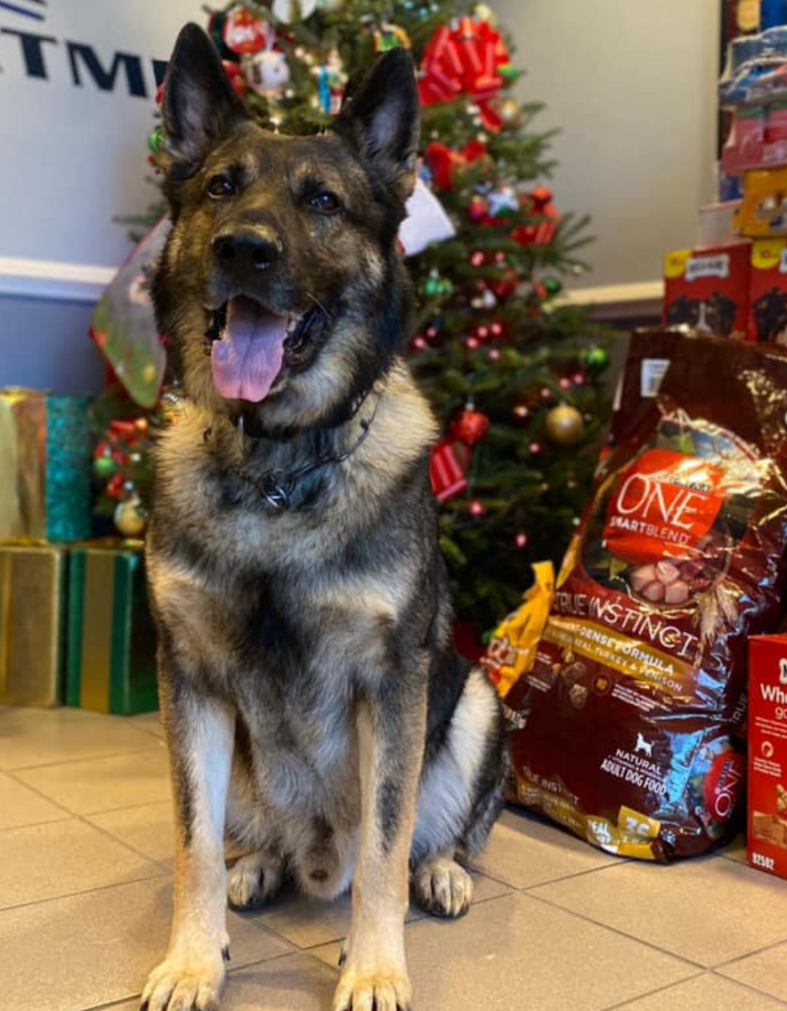 St. Augustine Beach Police Department K9 Kilo