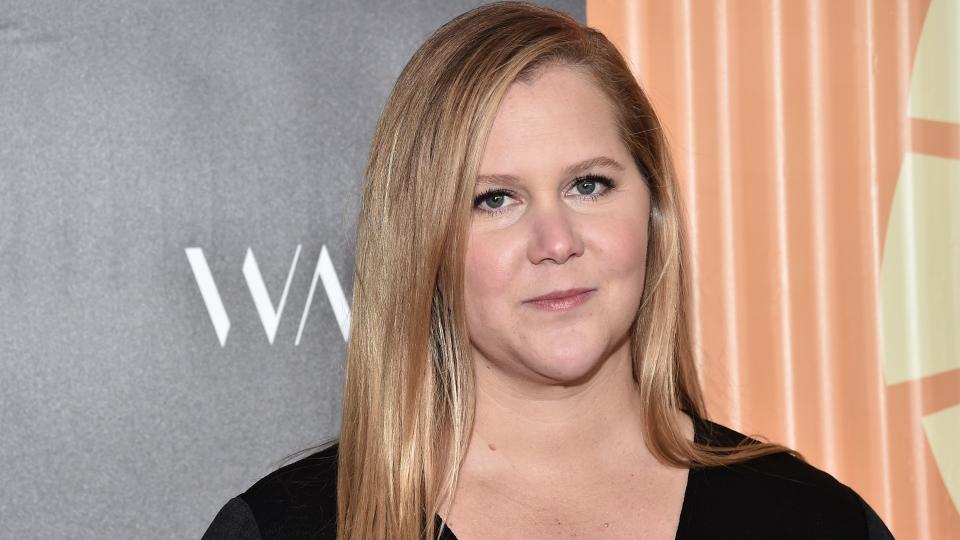 amy schumer