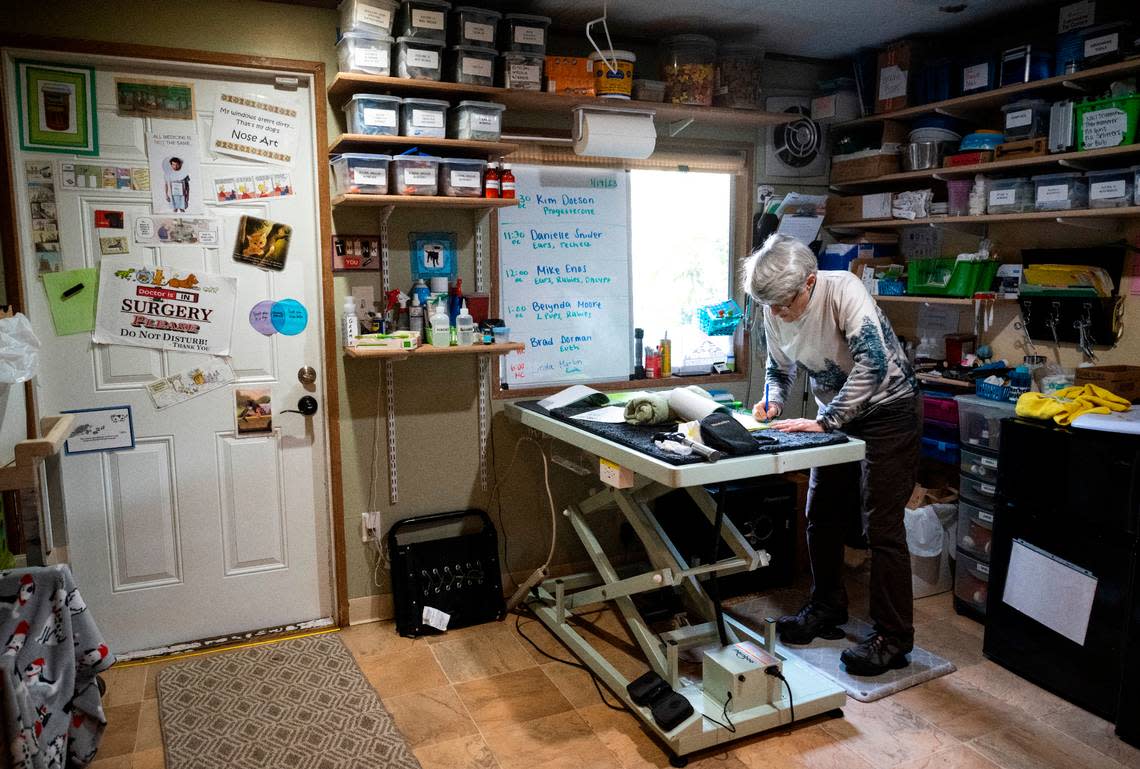 Veterinarian Shannon West records information after doing a physical exam on a dog at her clinic in Graham on Jan. 19, 2023. West has operated out of a clinic attached to her home for years.