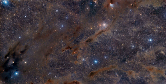 A portion of the huge Taurus Molecular Cloud is seen here in two-panel mosaic. The darkest areas are where stars are being born, hidden from view by thick clots of dust. Credit: Adam Block /Steward Observatory/University of Arizona