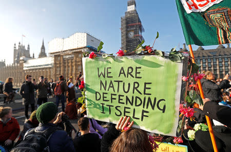 Environmental campaigners from the direct action group Rebellion demonstrate on Westminster Bridge in central London, Britain, November 17, 2018. REUTERS/Peter Nicholls