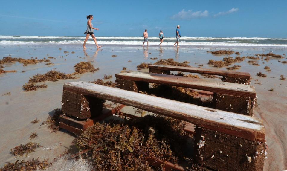 Beachgoers walk past a barnacle-covered shipping pallet that washed ashore with lots of seaweed on Monday near Andy Romano Beachfront Park in Ormond Beach. Subtropical Storm Nicole is forecast to approach Volusia and Flagler counties by Wednesday.