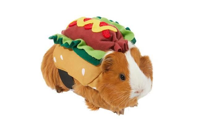 Hot Dog Guinea Pig Costume