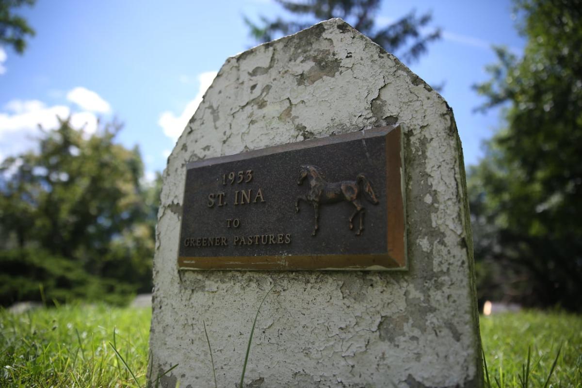 No animal is left behind': Pet cemetery with more than 500 remains