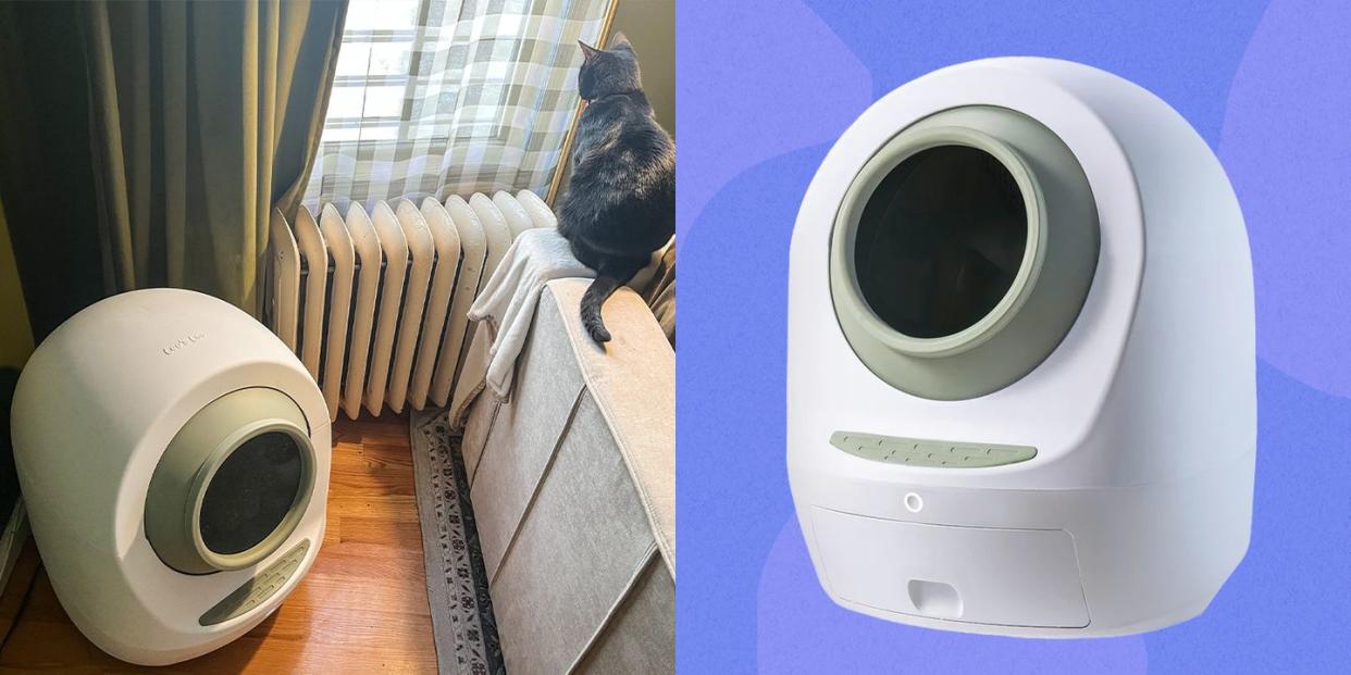 leos loo too covered automatic self cleaning cat litter box