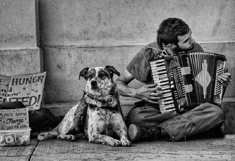 An unnamed musician and a dog in New Orleans
