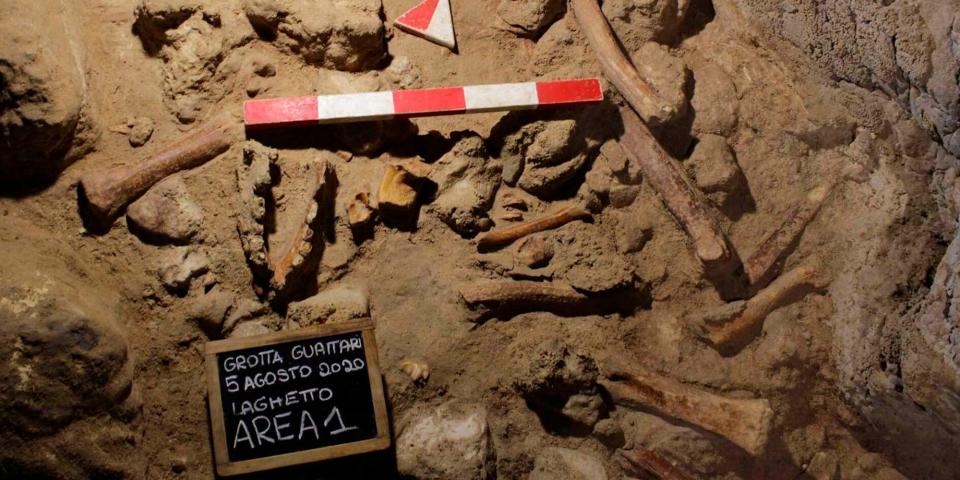 Fossilised remains of Neanderthals in Roman cave.