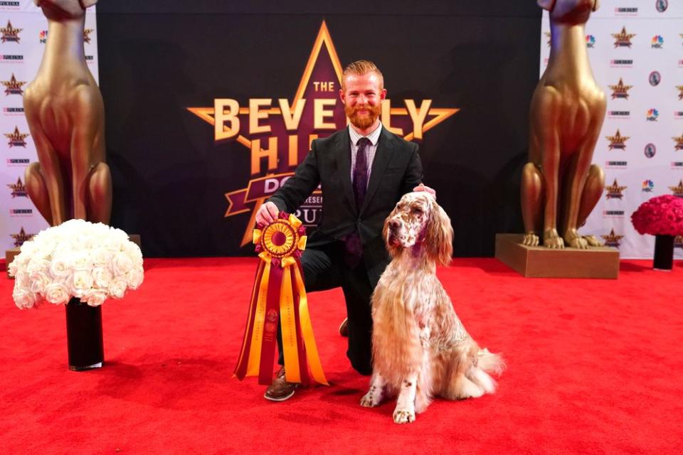 The dog took home the show's top prize after winning the Toy Group earlier in the day.