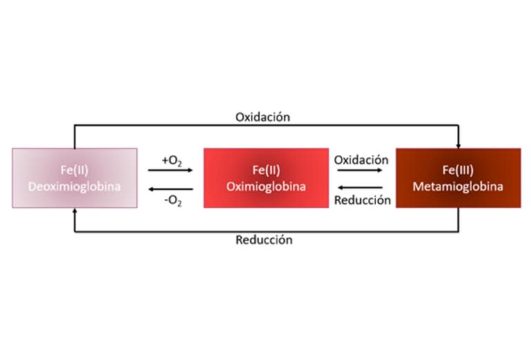 Proceso de cambio de color del atún