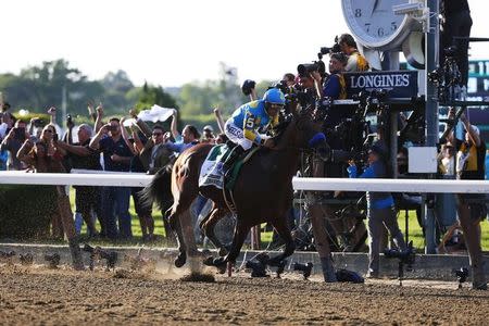 Victor Espinoza aboard American Pharoah (5) wins the 2015 Belmont Stakes and the Triple Crown at Belmont Park. Mandatory Credit: Winslow Townson-USA TODAY Sports