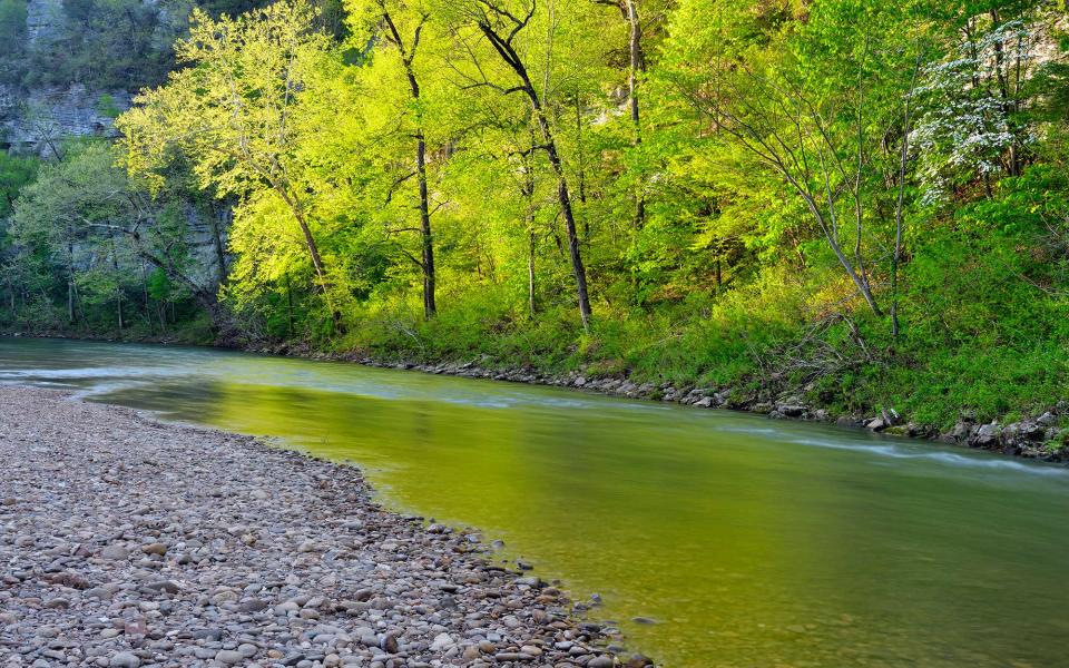 <p>All 135 miles of the Buffalo National River remains one of the few undammed rivers in the lower 48 states. As you canoe, kayak, or raft down the river, you’ll quickly find yourself meandering through the incredible cliffs and mountainous terrain of the Ozarks. Fishermen may be pleased with the smallmouth bass population in the upper reaches of the river, or the largemouth bass and catfish in the lower reaches. As you explore the area, be sure to keep your eyes open for the chance to see one of the Rocky Mountain Elk west of the Mississippi.</p>