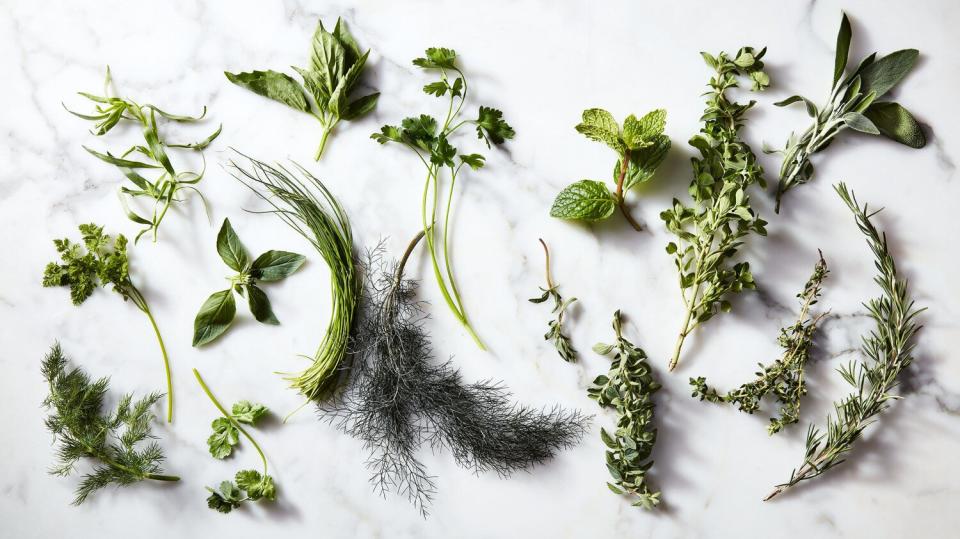 herbs thyme savory sage rosemary marjoram mint oregano basil tarragon cilantro dill parsley chives chervil