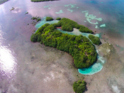 <p>Enjoy fishing, snorkelling, kayaking, kite-sailing, and scuba diving off the coast of this 1.4-acre island near Belize. It’s currently listed for $225,000. (Private Islands Inc.) </p>