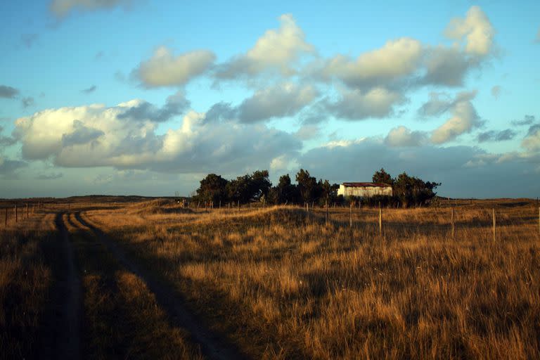 Los campos de El Remanso en Mar del Sud. En esa zona se construyó "la casita de los alemanes"