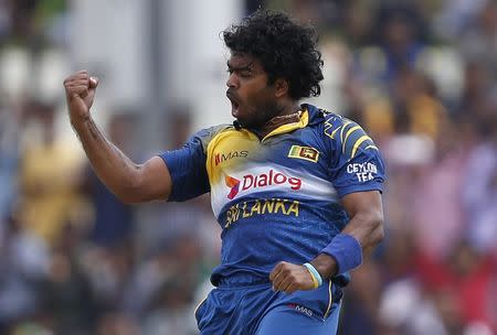 Sri Lanka's Lasith Malinga celebrates after taking the wicket of Pakistan's Mohammad Hafeez (not pictured) during their final ODI (One Day International) cricket match in Dambulla August 30, 2014. REUTERS/Dinuka Liyanawatte