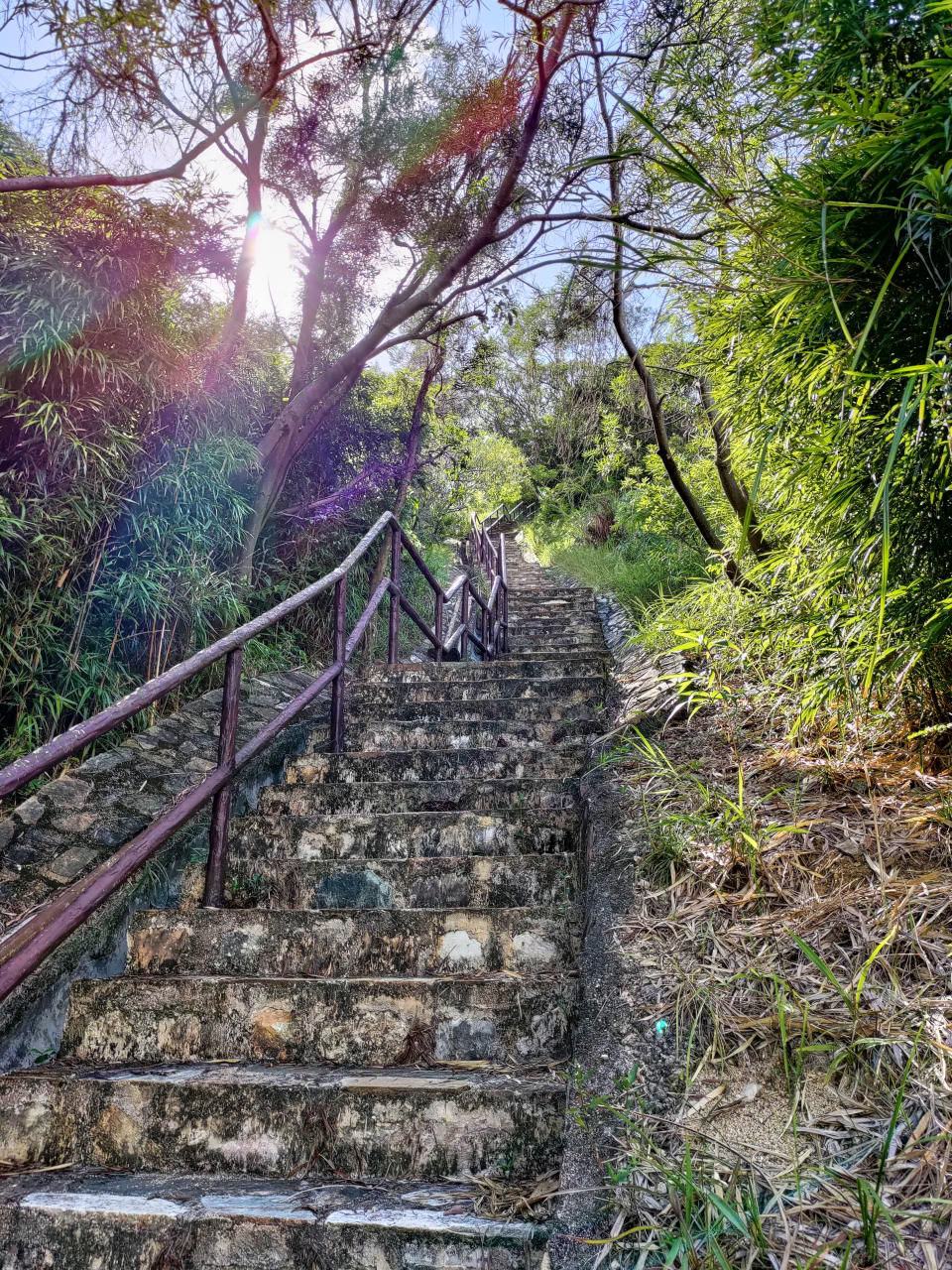 由青衣美景花園開始登山